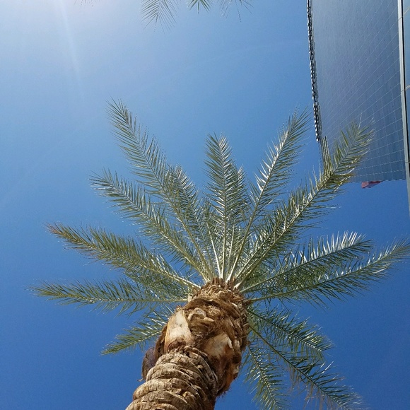 Meet your Posher, Sue - Picture 1 of 1